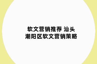 软文营销推荐 汕头潮阳区软文营销策略